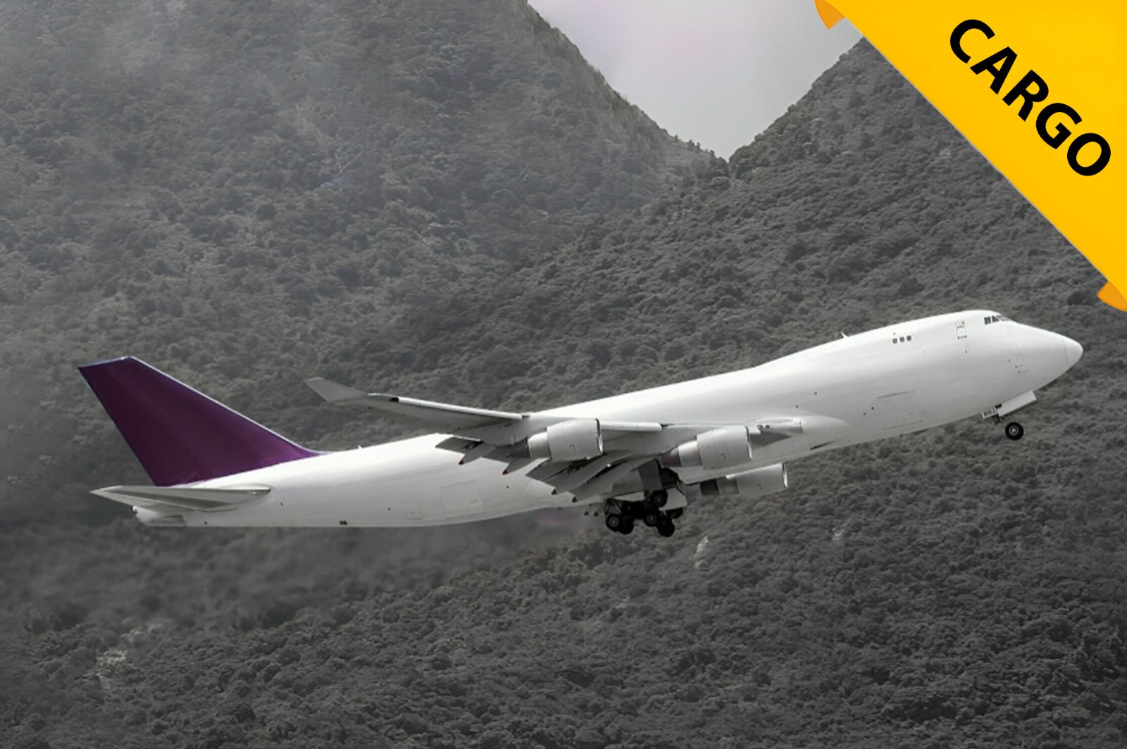 WhatsApp Image 2025-10-20 at 19.18.14 (1)