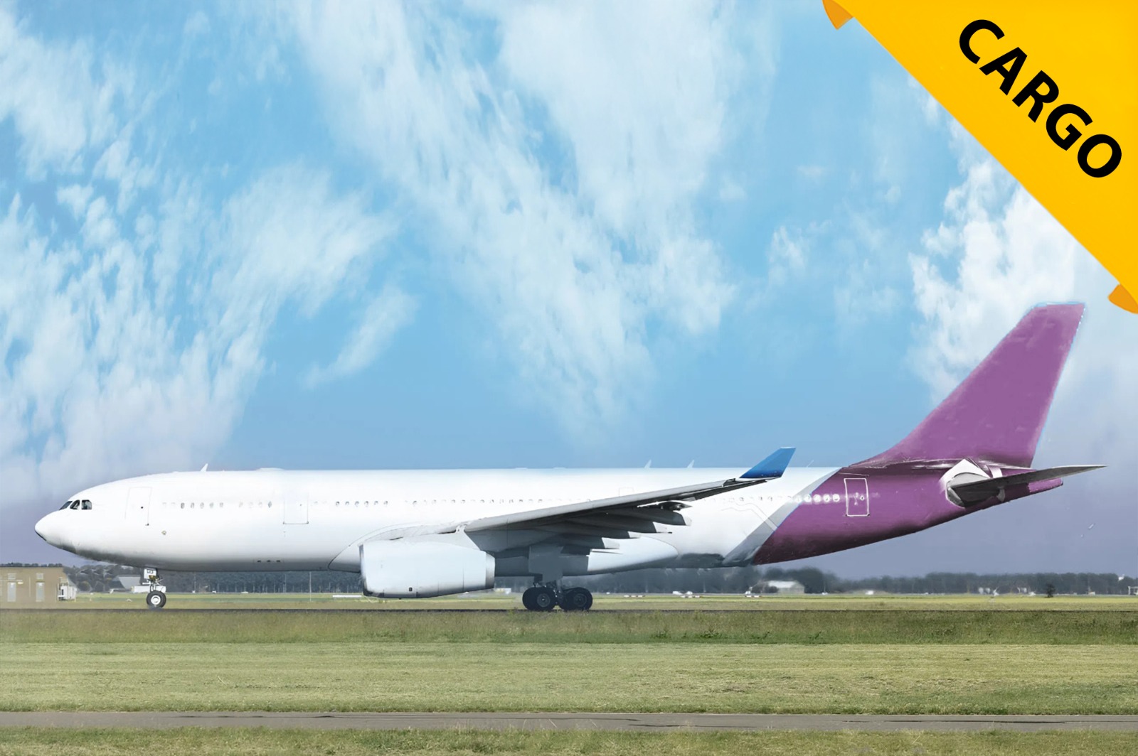 WhatsApp Image 2025-10-20 at 19.18.14